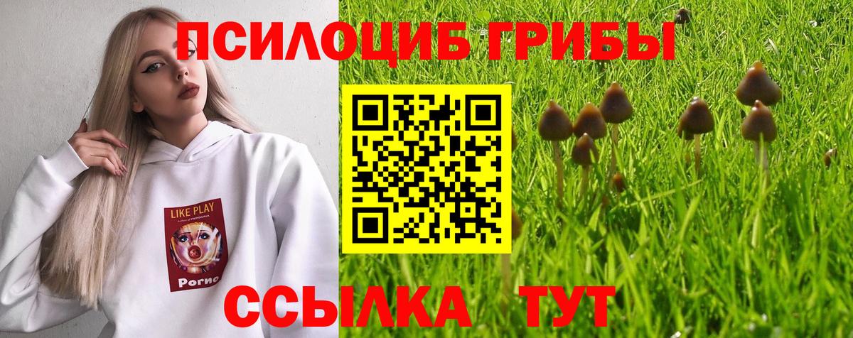Псилоцибиновые грибы MAGIC MUSHROOMS Оренбург